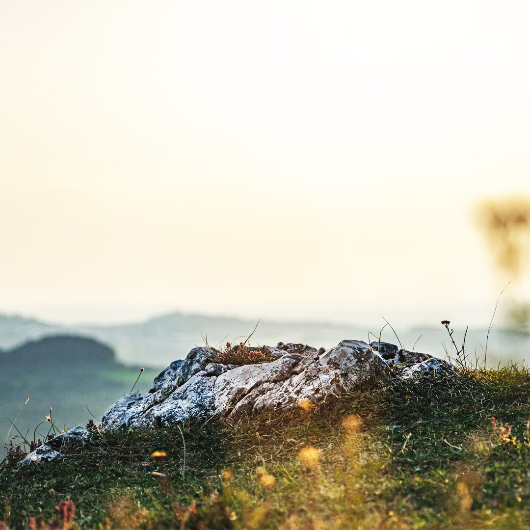  Die Hügeltour 2025 im Ski-Club Plüderhausen! Bildidee 